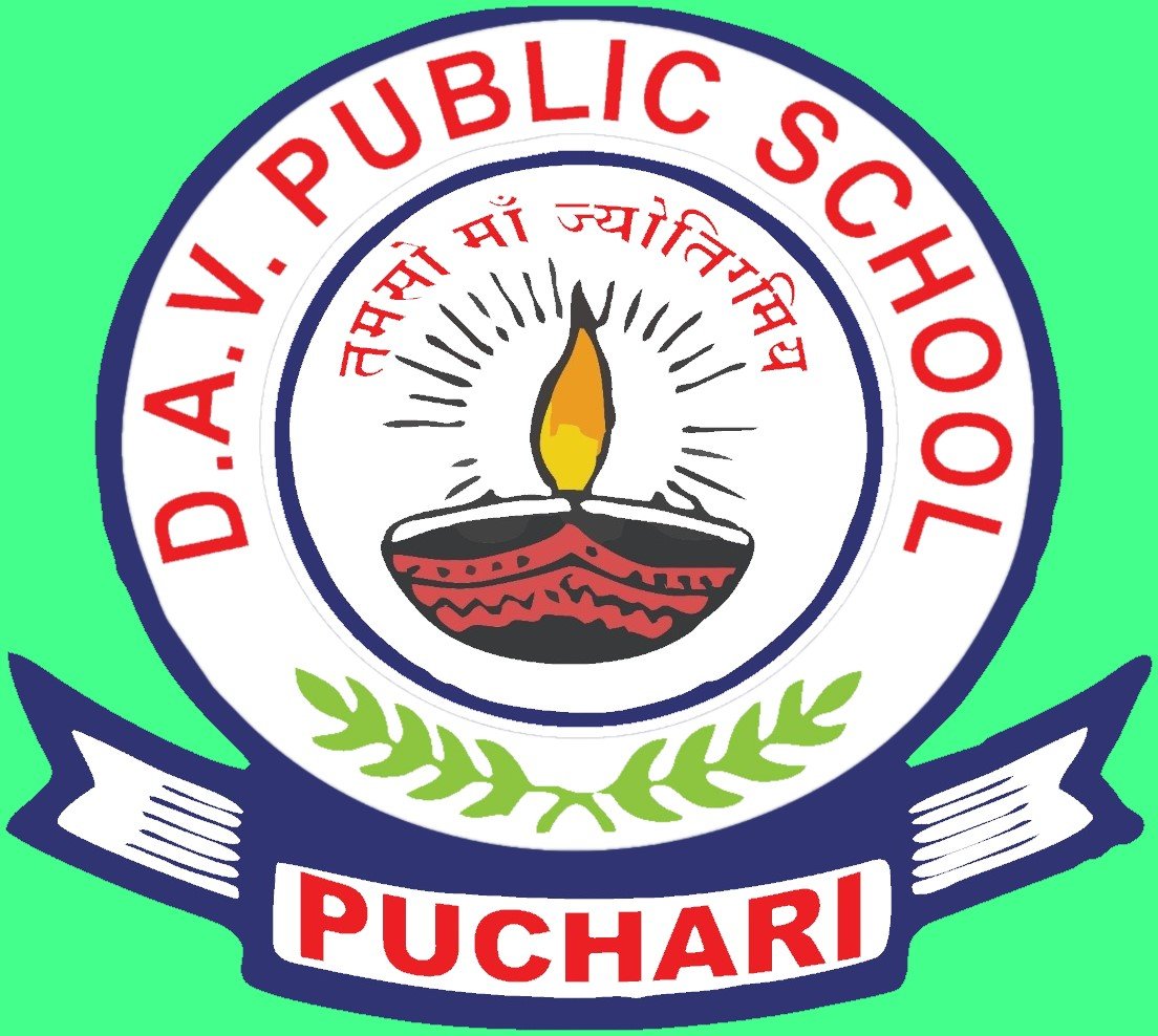  D.A.V. PUBLIC SCHOOL, Puchari, Baniyapur Logo